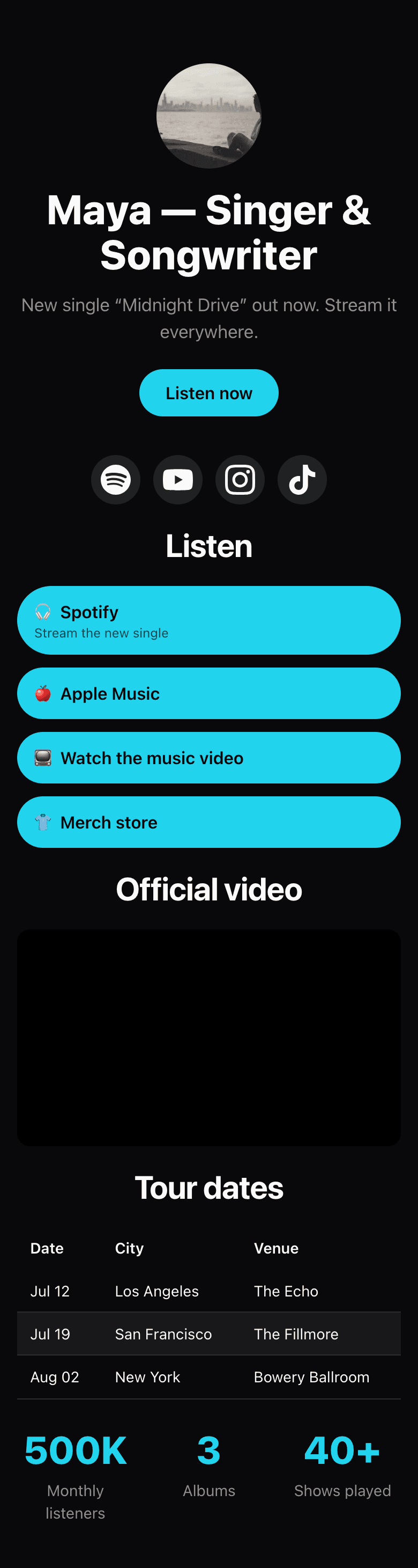 Musician example site