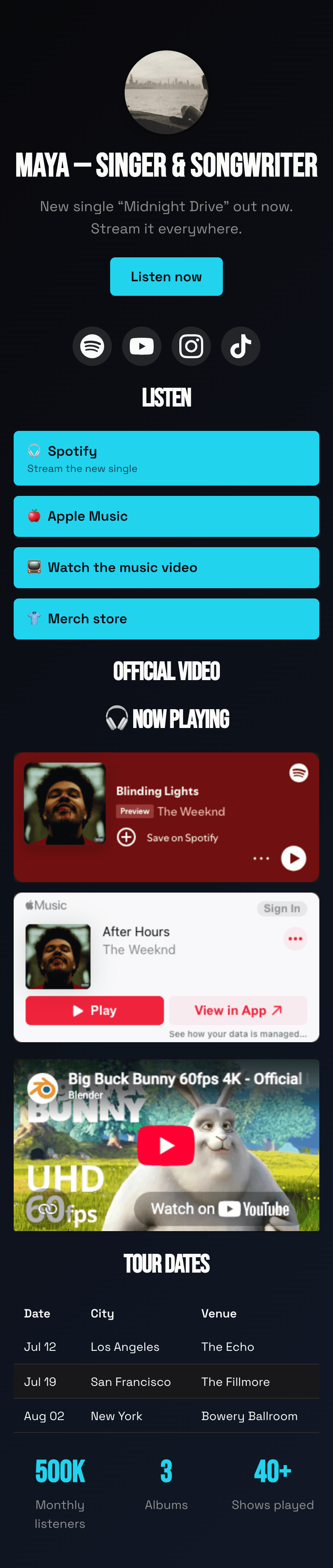 Musician example page