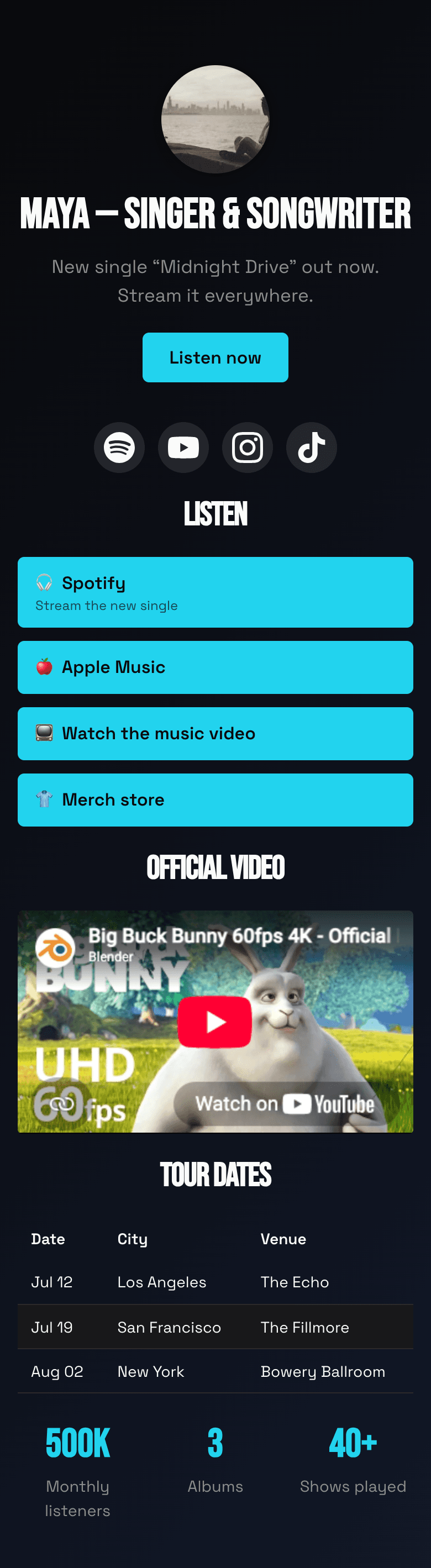 Example BonPages site for musicians