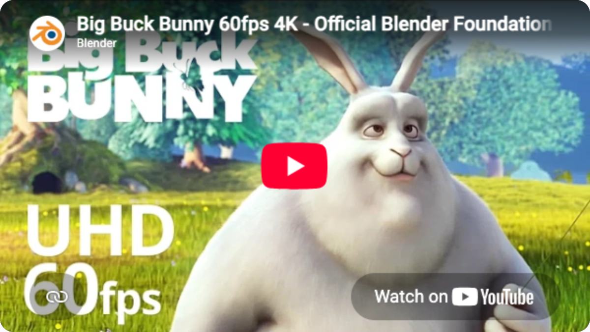 Video block preview